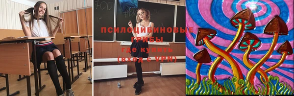 бошки Алексеевка